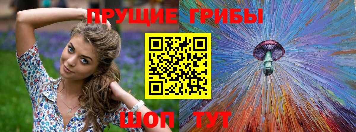 Псилоцибиновые грибы Psilocybe Джанкой