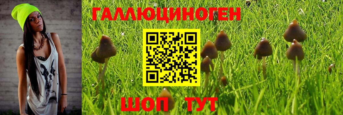 Псилоцибиновые грибы Cubensis  Вход с VPN  Псилоцибиновые грибы Magic Shrooms  Джанкой 